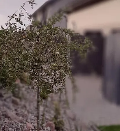 アパート Monti Mosty