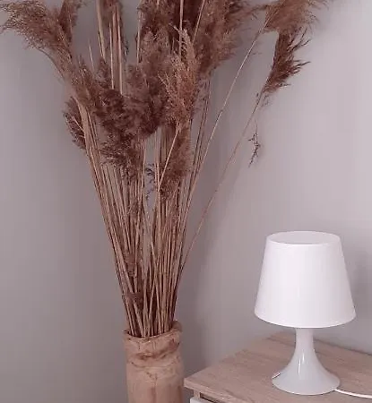 Monti דירה Mosty (Puck)