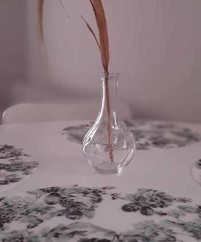 Monti شقة Mosty (Puck)