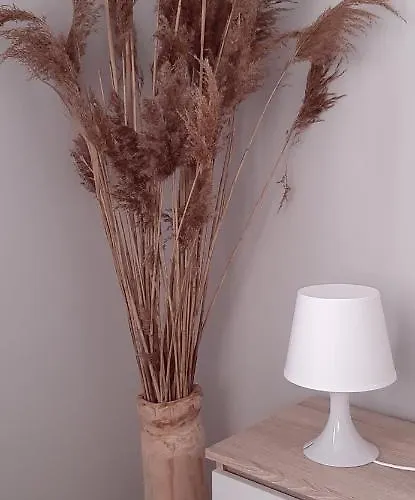 Monti شقة Mosty (Puck)